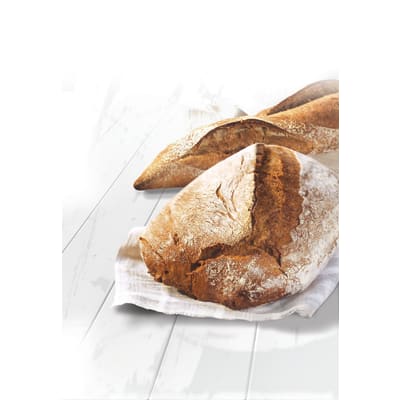 Briard Paysan - Image 1