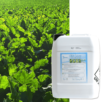 ORA CUIVRE - Image 1