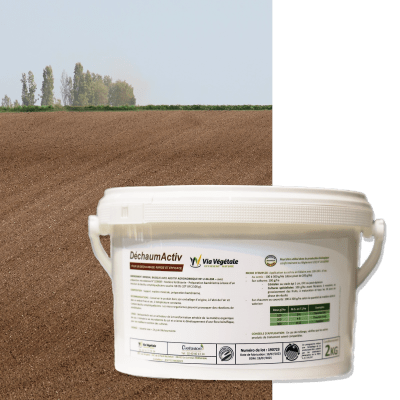 DECHAUM'ACTIV - Image 1