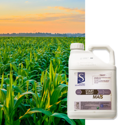 START BOOST MAIS - Image 1