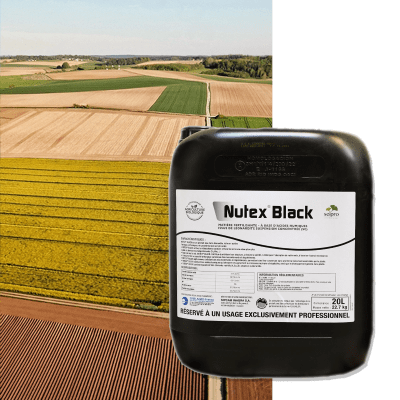 NUTEX BLACK - Image 1