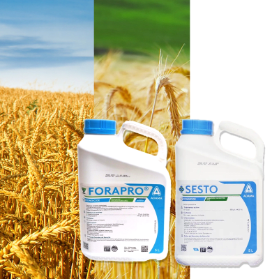 FORAPRO + SESTO - Image 1