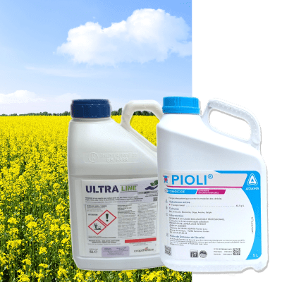 ULTRALINE + PIOLI - Image 1