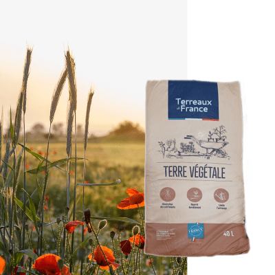 Terre végétale - Image 1