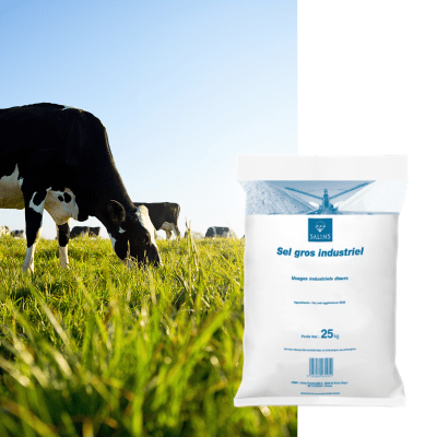 SEL DE DENEIGEMENT - Image 1