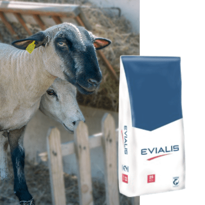 PATRILLIS PRATRIC - Image 1