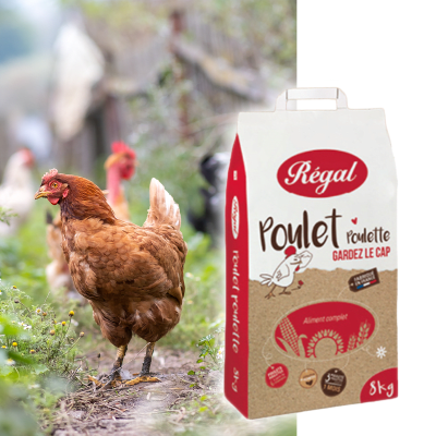 REGAL POULET POULETTE - Image 1