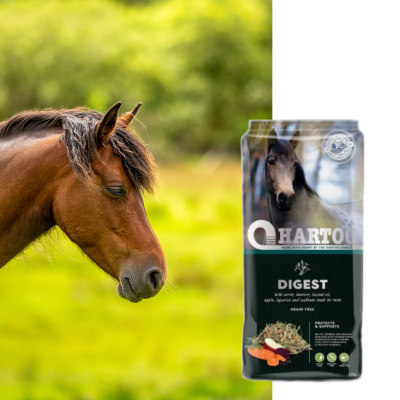 HARTOG DIGEST BALLE 15KG - Image 1