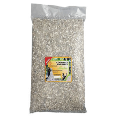 Coquilles d'huîtres - Image 1