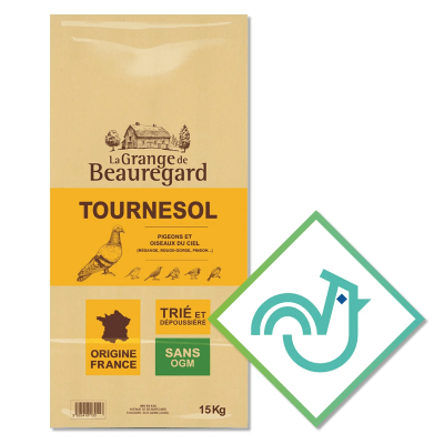 Beauregard tournesol - Image 1