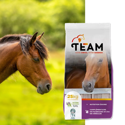 Team equi protéine - Image 1