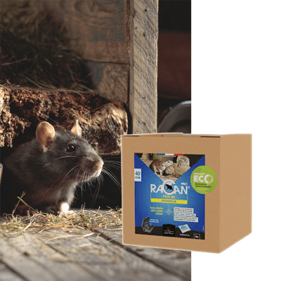 RACAN PATE BR 5 KG CARTON - Image 1