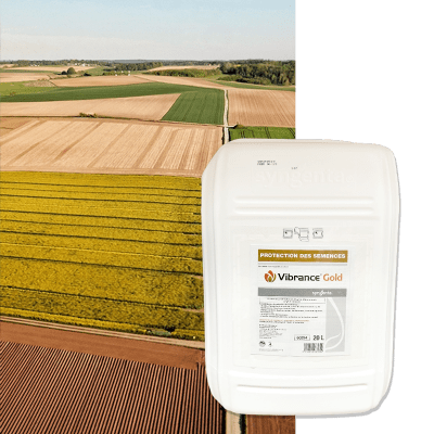 VIBRANCE GOLD - Image 1