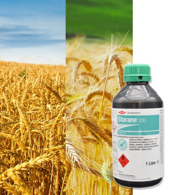 STARANE 200 - Image 1