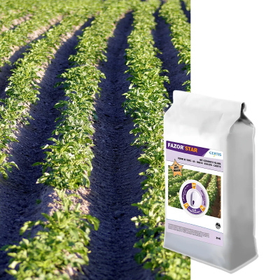 FAZOR STAR - Image 1