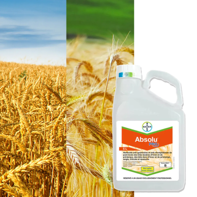 ABSOLU PRO - Image 1