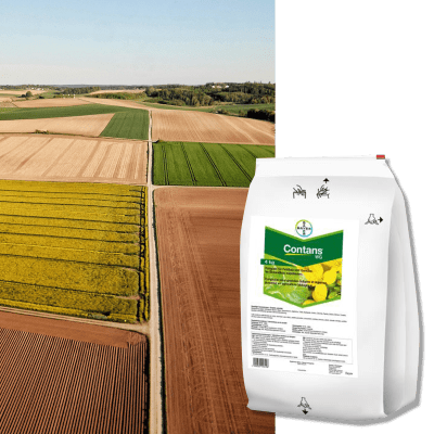 CONTANS WG - Image 1