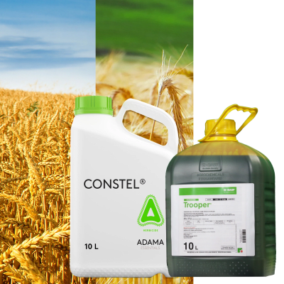 TROOPER + CONSTEL - Image 1