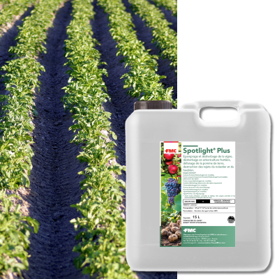 SPOTLIGHT PLUS - Image 1