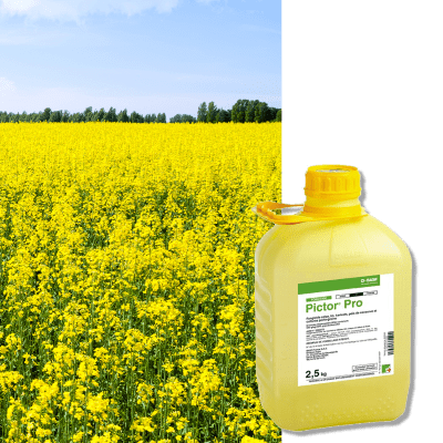 PICTOR PRO - Image 1