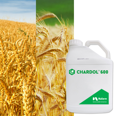 CHARDOL 600 - Image 1