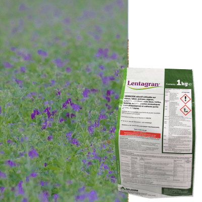 LENTAGRAN - Image 1