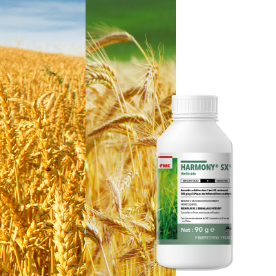 HARMONY SX - Image 1