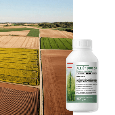 ALLIE DUO SX - Image 1