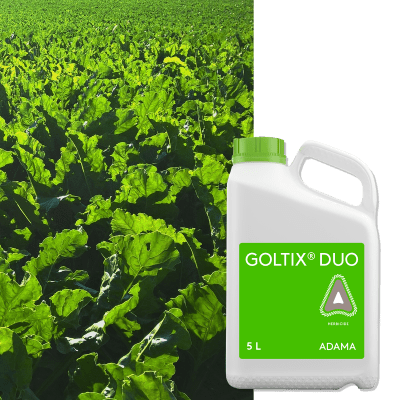 GOLTIX DUO - Image 1