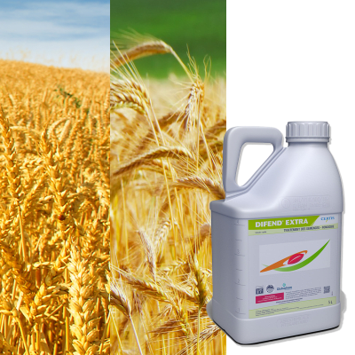DIFEND EXTRA - Image 1