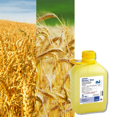 MEDAX MAX - Image 1