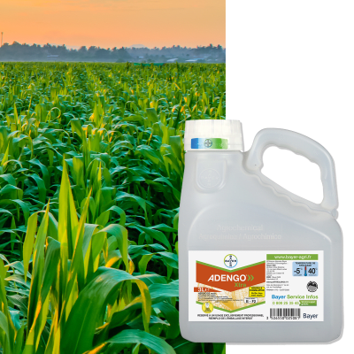 ADENGO XTRA - Image 1