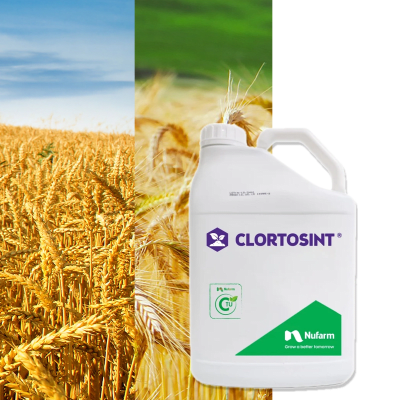 CLORTOSINT - Image 1