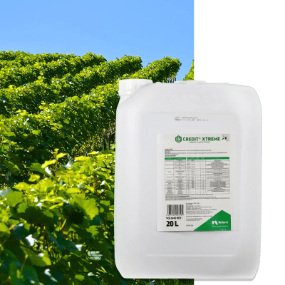 CREDIT XTREME - Image 1