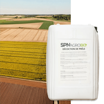 DECOCTION DE PRELE - Image 1