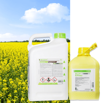 EFFITEC + BODY - Image 1