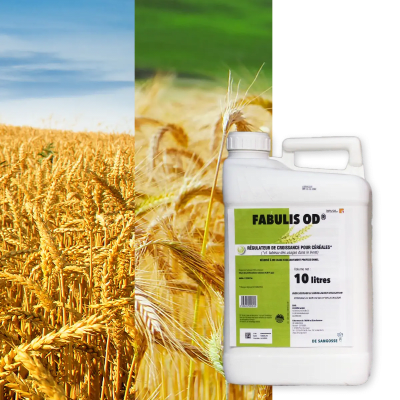 FABULIS OD - Image 1