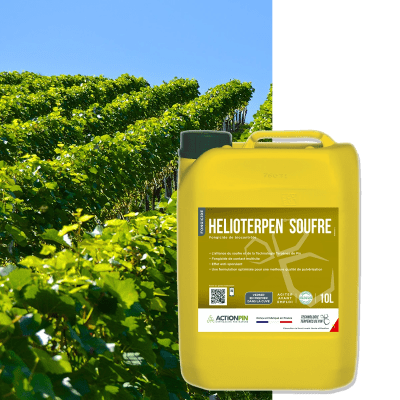 HELIOTERPEN SOUFRE - Image 1