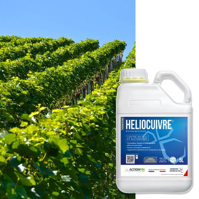 HELIOCUIVRE - Image 1