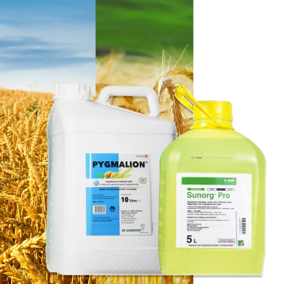 SUNORG PRO + PYGMALION - Image 1