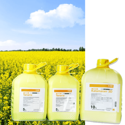 TANARIS + KATAMARAN - Image 1