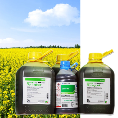 LADIVA + SPRINGBOK - Image 1