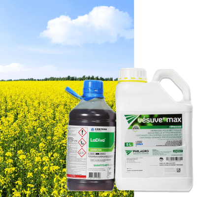 LADIVA + VESUVE MAX - Image 1