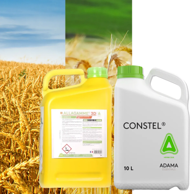 MASSADA : ALLAGAMME + CONSTEL - Image 1