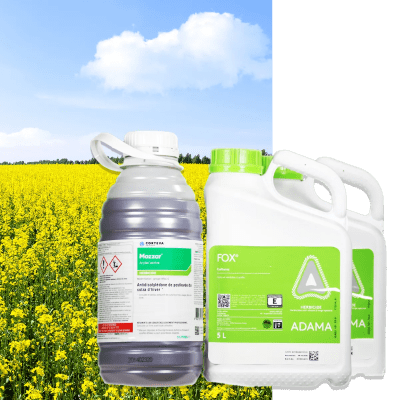 MOZZAR + FOX - Image 1