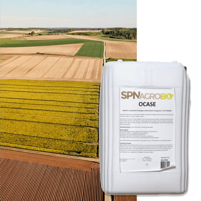 OCASE BAGINBOX - Image 1