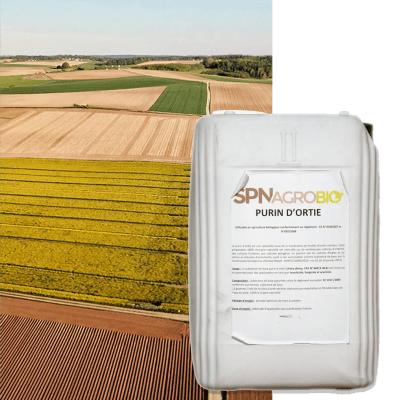 PURIN D ORTIE - Image 1