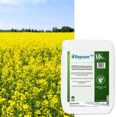 RAPSAN TDI - Image 1