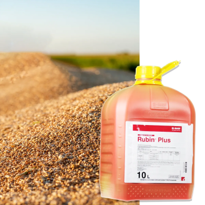 RUBIN PLUS - Image 1