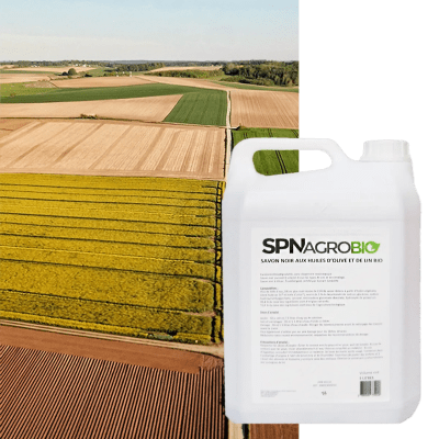 SAVON NOIR - Image 1